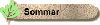 Den varma årstiden